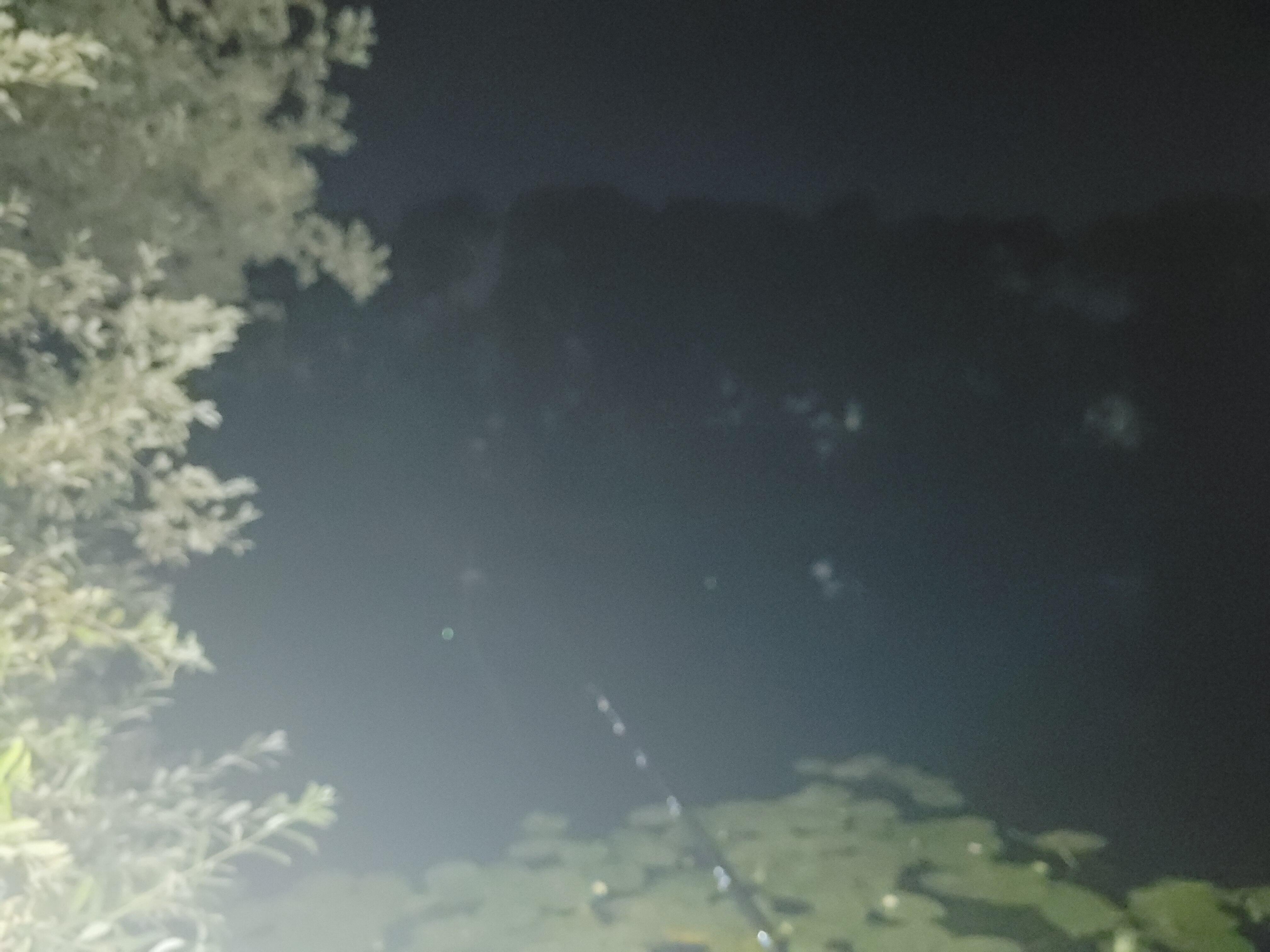 Image #2 from Gazzza